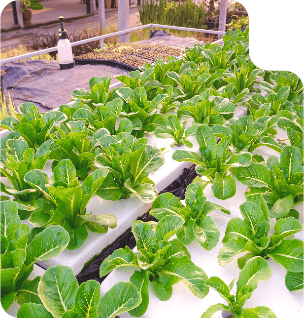 Why Choose Epsilyte for Sustainable EPS?