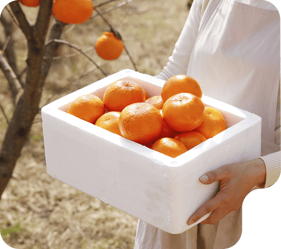 For applications that require shorter product life and end-of-use breakdown, Biodegradable EPS offers a responsible alternative.