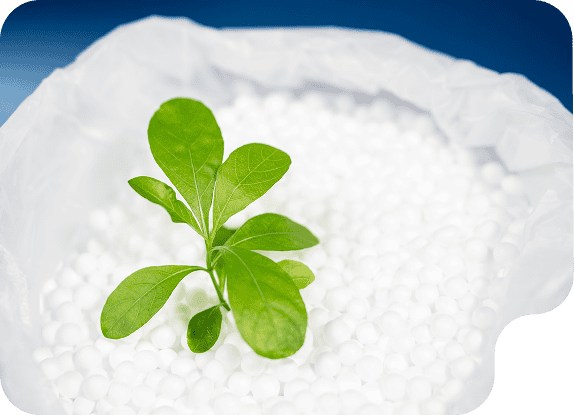 Biodegradable* EPS