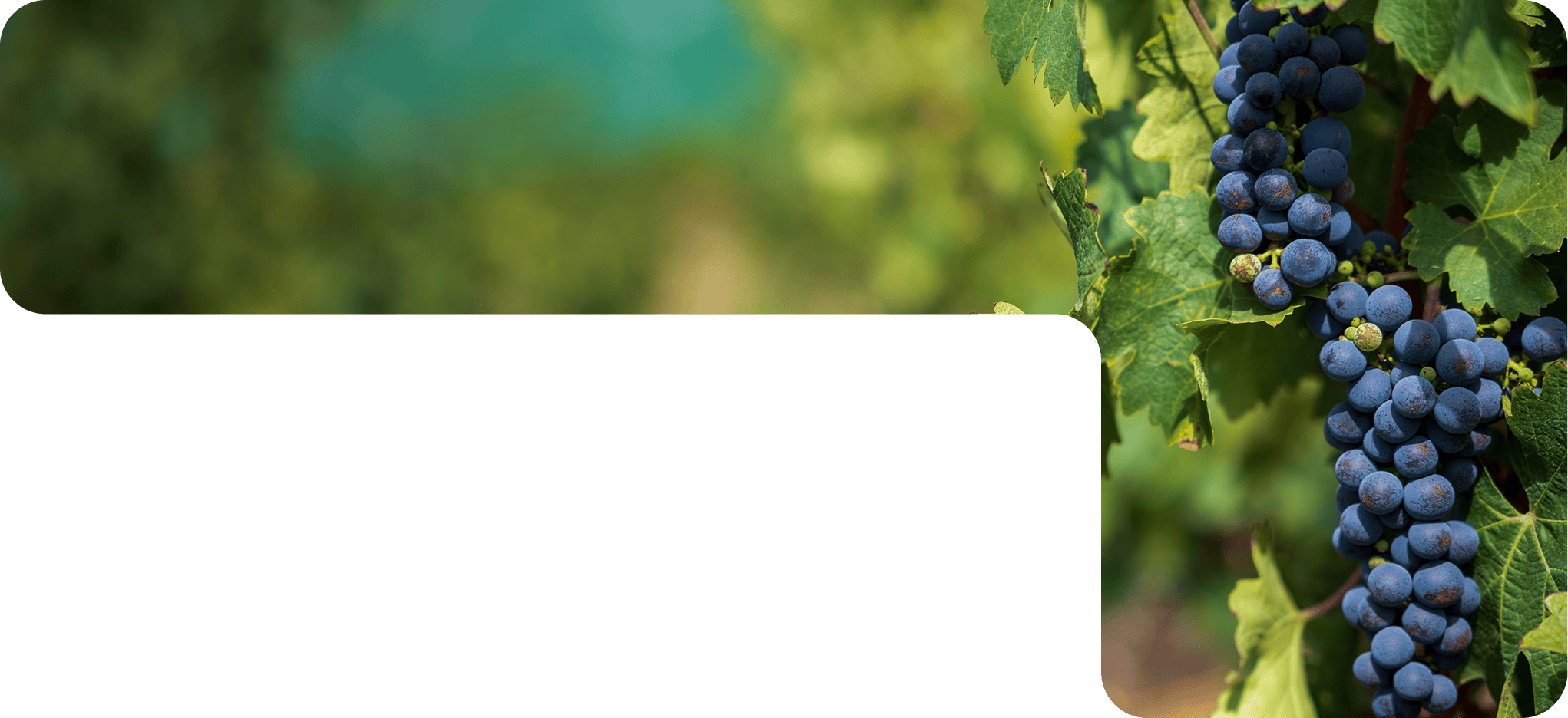EVRgreen® Biodegradable* EPS