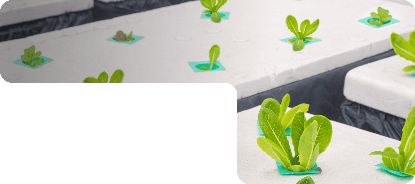 Innovative EPS Product Lines for Every Market