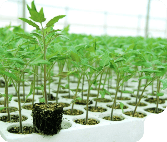 Epsilyte Sustainability and Certifications Our Commitment to Sustainable EPS Innovation